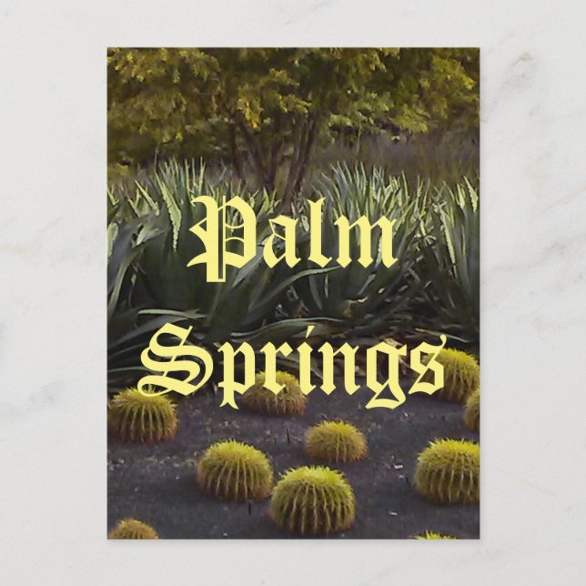 Palm Springs California Postcard (Front)