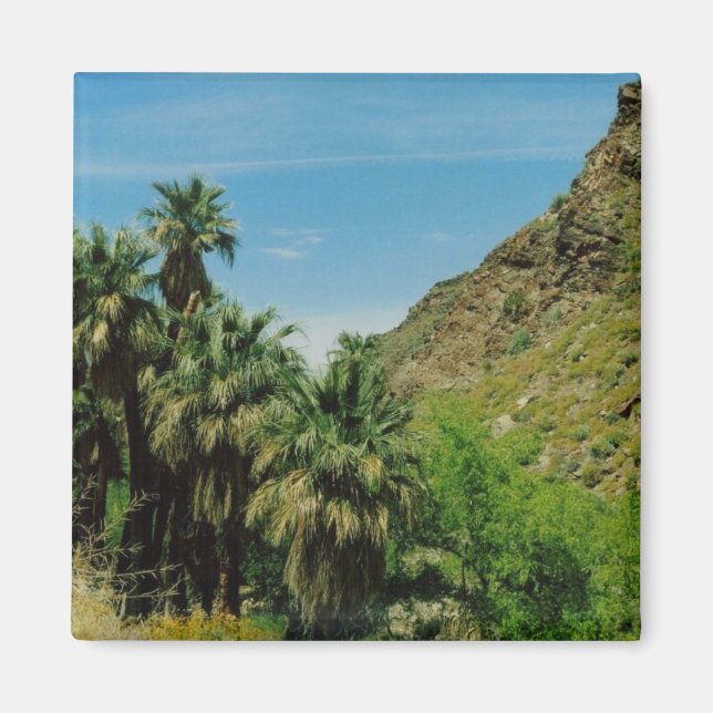 Palm Springs Magnet (Front)