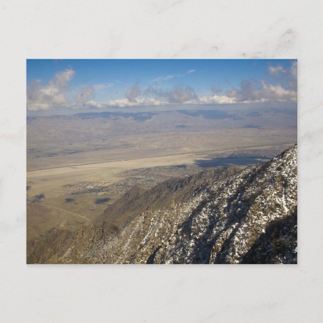 Palm Springs Postcard (Front)