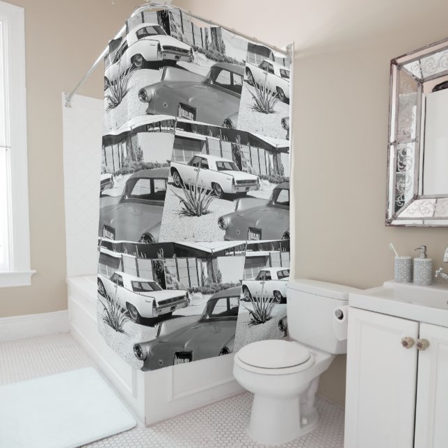 Palm Springs Vintage MCM Print  (In Situ)