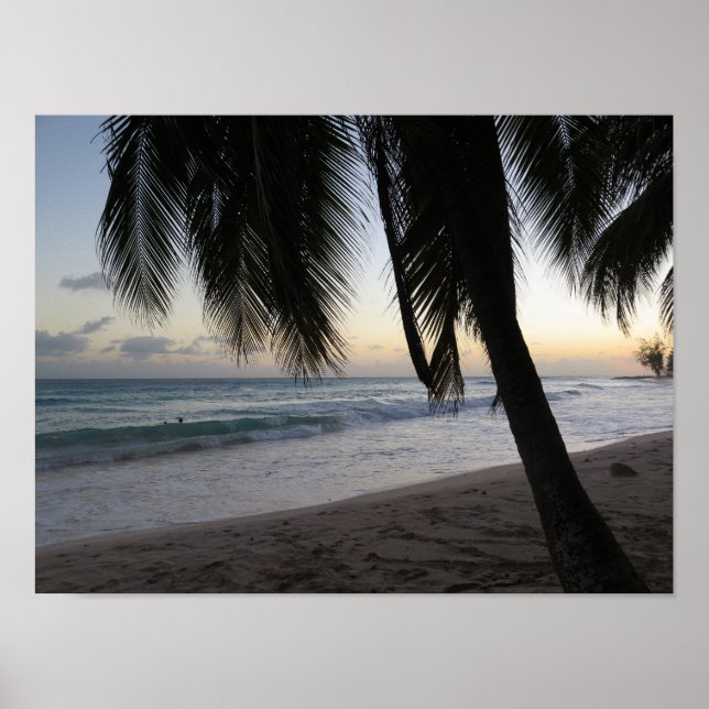 Palm Sunset Barbados Poster (Front)
