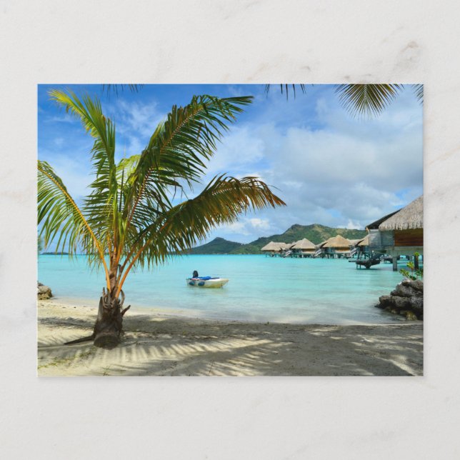Palm tree and overwater resort postcard (Front)
