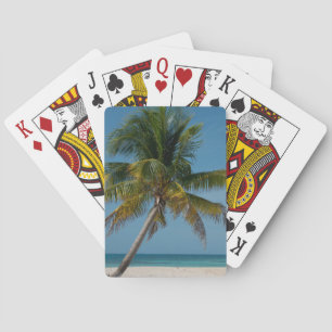 Palm tree and white sand beach 2 playing cards