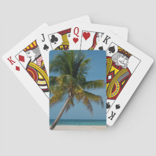 Palm tree and white sand beach 2 playing cards