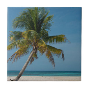 Palm tree and white sand beach  2 tile