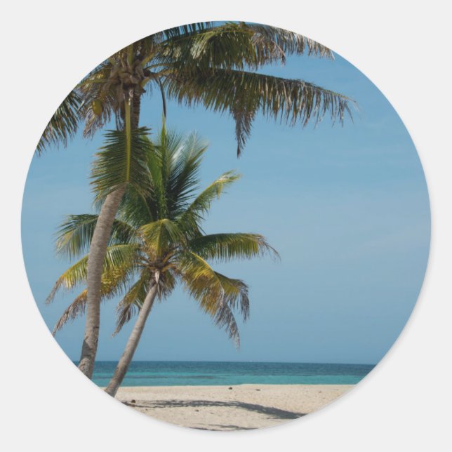Palm tree and white sand beach classic round sticker (Front)