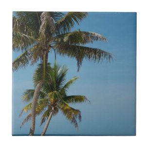 Palm tree and white sand beach tile