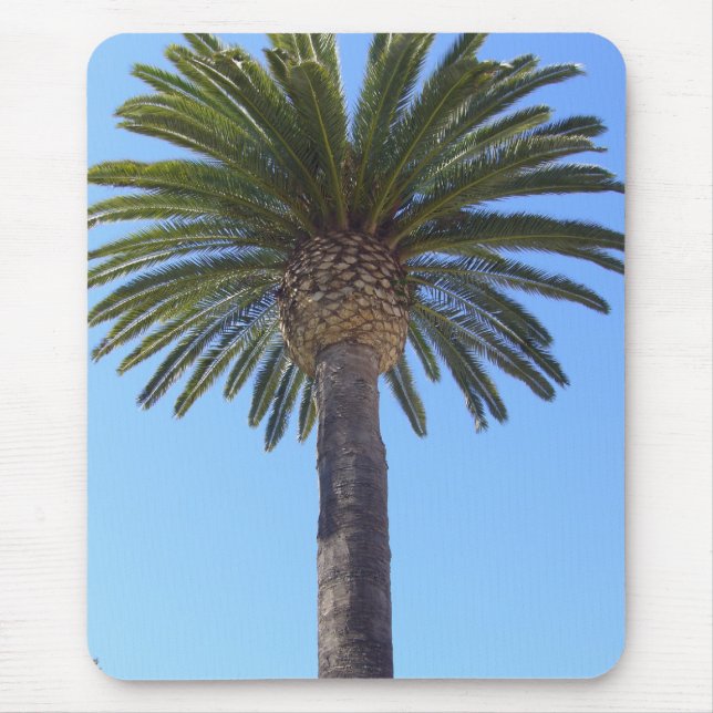 Palm Tree at San Diego, CA Mouse Pad (Front)