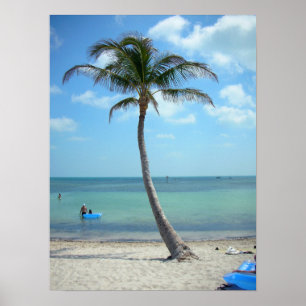 Palm Tree at the Beach Poster