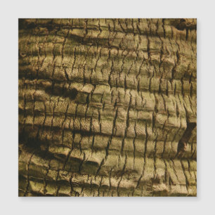 Palm Tree Bark