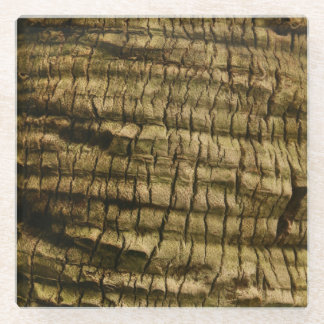 Palm Tree Bark Glass Coaster