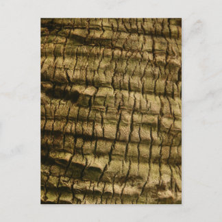 Palm Tree Bark Holiday Postcard