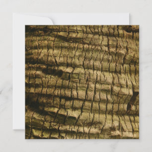Palm Tree Bark Invitation