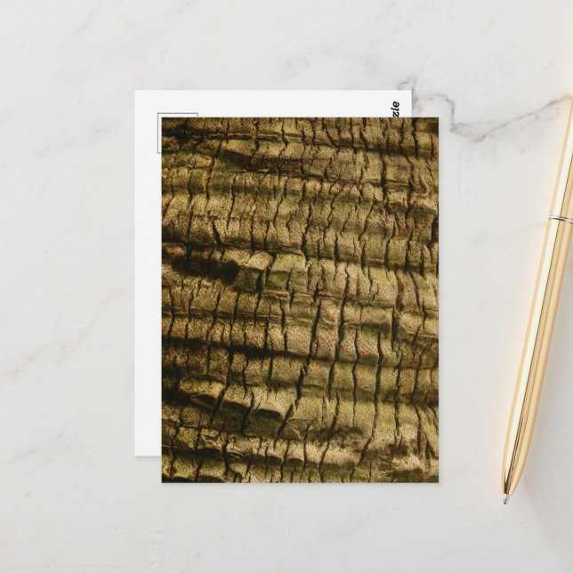 Palm Tree Bark Postcard (Front/Back In Situ)
