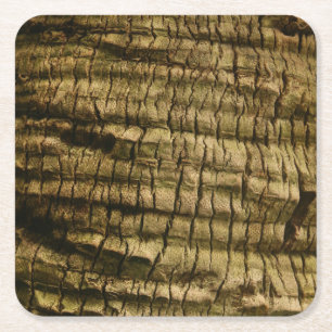 Palm Tree Bark Square Paper Coaster