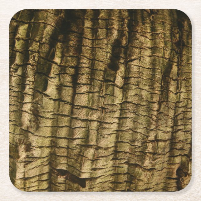 Palm Tree Bark Square Paper Coaster (Front)