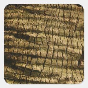 Palm Tree Bark Square Sticker