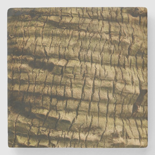 Palm Tree Bark Stone Coaster (Front)