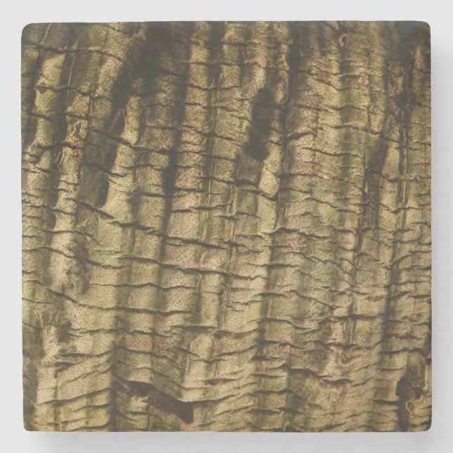 Palm Tree Bark Stone Coaster (Front)