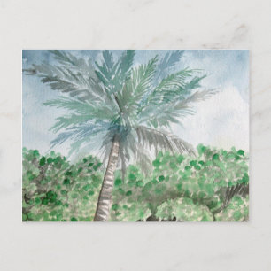 palm tree beach art postcard