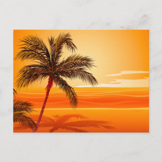 Palm Tree Beach Sunset Postcard