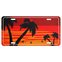 Palm Tree Blazing Sun License
