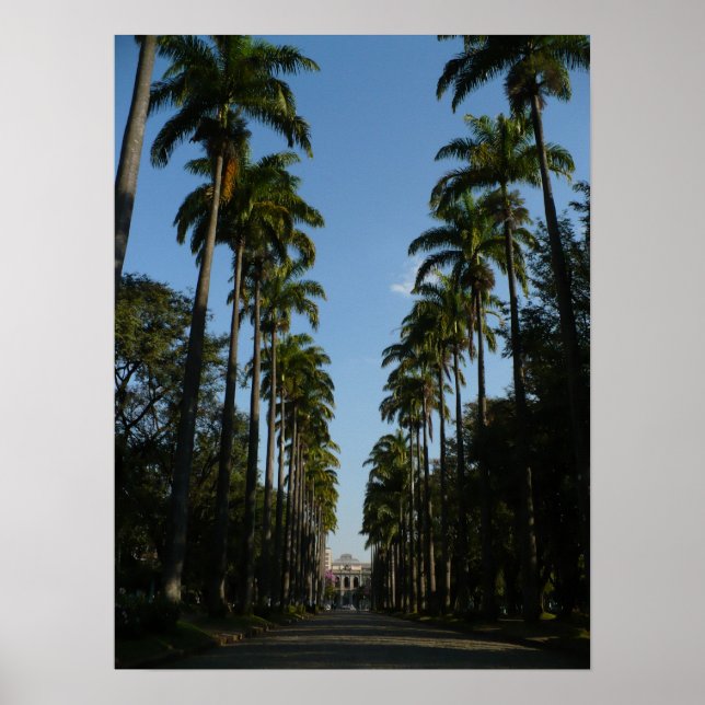 Palm Tree Boulevard Poster (Front)