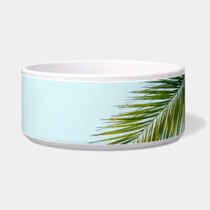 Palm tree branch