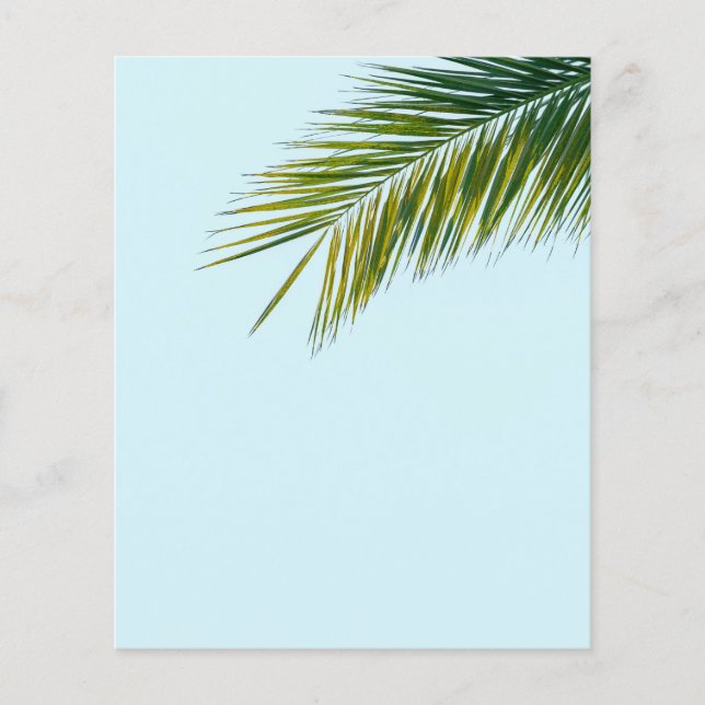 Palm tree branch (Front)