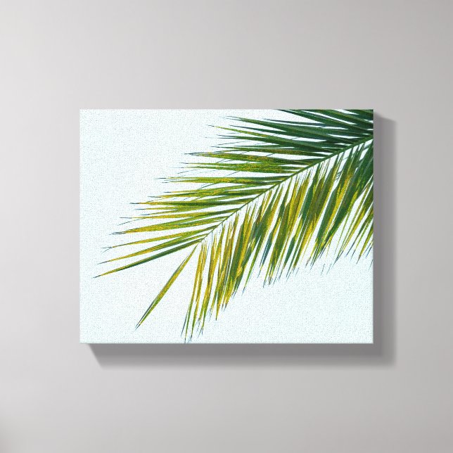 Palm tree branch canvas print (Front)