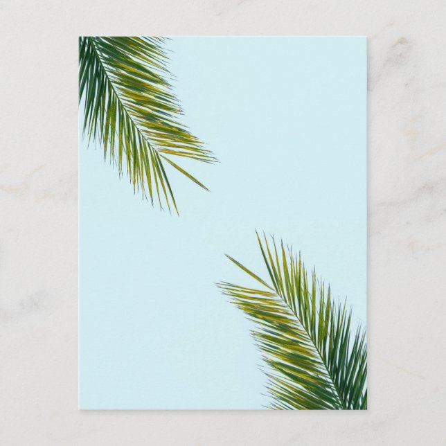 Palm tree branch enclosure card (Front)