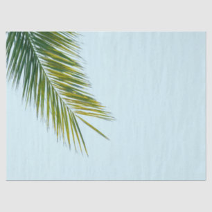 Palm tree branch tissue paper