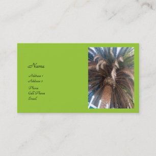 Palm Tree Business Card
