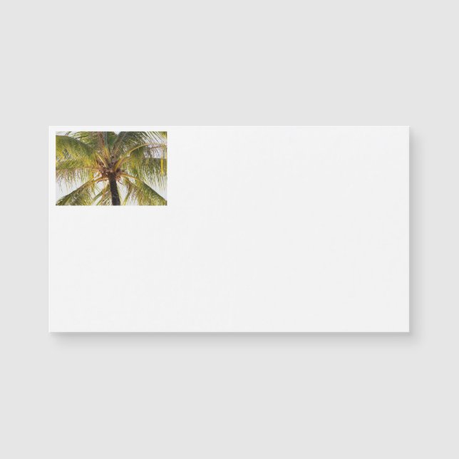 Palm Tree Business Cards (Front)