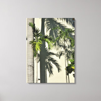 palm tree canvas print