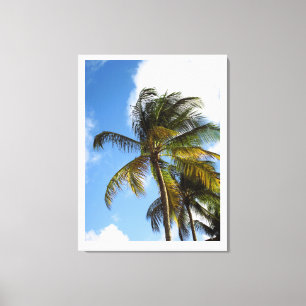 Palm tree canvas print