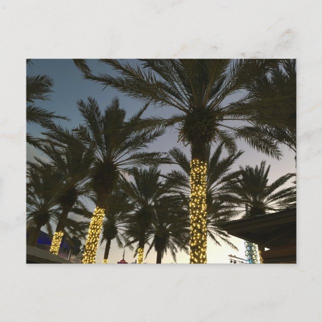 Palm Tree Christmas Lights Holiday Postcard (Front)