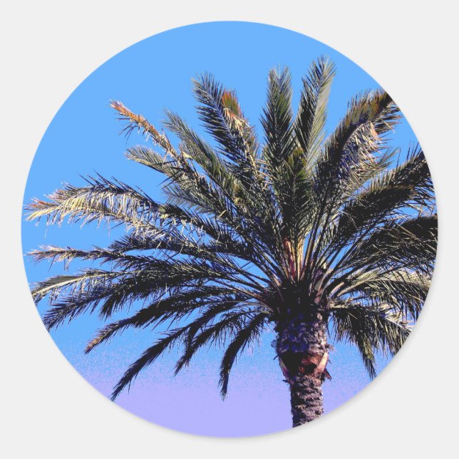 palm tree classic round sticker (Front)