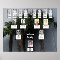 Palm Tree Cluster Photo Family Tree Poster