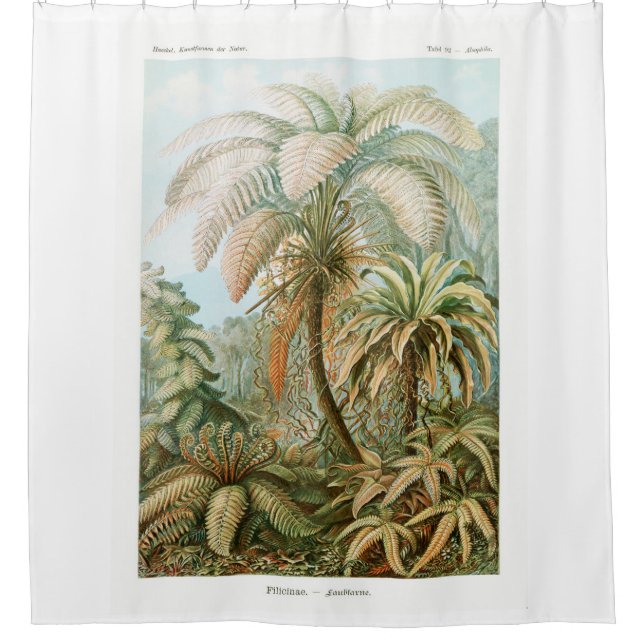 Palm Tree Ernst Haeckel   (Front)