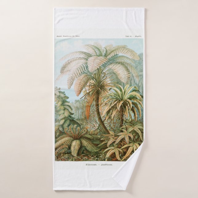 Palm Tree Ernst Haeckel  Bath Towel (Bath Towel)