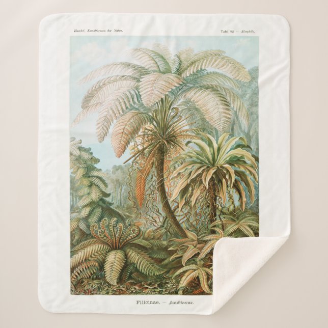 Palm Tree Ernst Haeckel Sherpa Blanket (Front)
