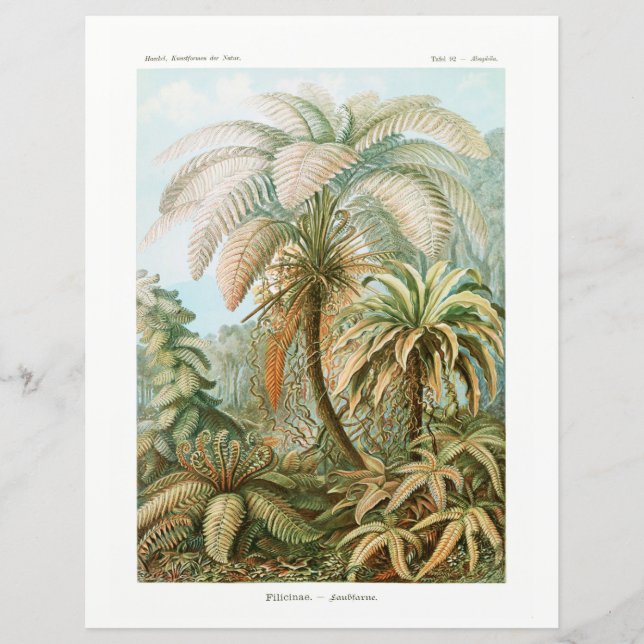 Palm Tree Ernst Haeckel tissue paper (Front)