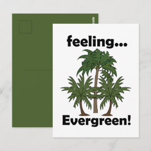 Palm Tree Feeling Evergreen Tropical Birthday Postcard