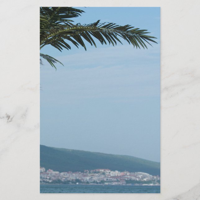 Palm tree flyer (Front)