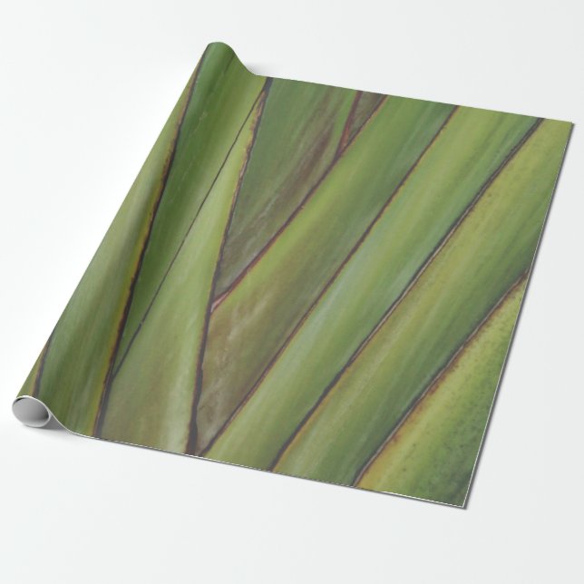 Palm Tree  Gift Wrapping Paper (Unrolled)