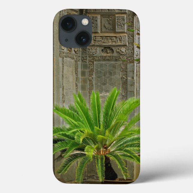 Palm Tree | Hongcun, China Case-Mate iPhone Case (Back)