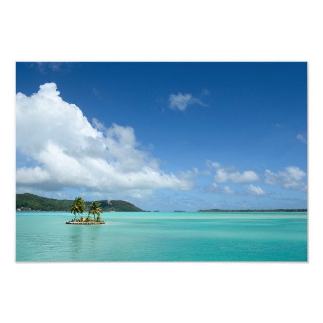 Palm tree in Bora Bora lagoon photo print (Front)