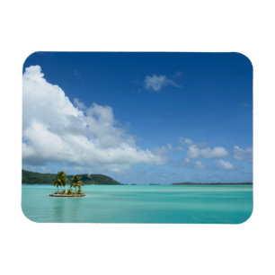 Palm tree in Bora Bora lagoon rectangular magnet