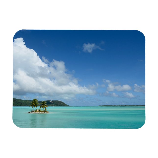Palm tree in Bora Bora lagoon rectangular magnet (Horizontal)